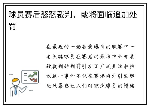 球员赛后怒怼裁判，或将面临追加处罚